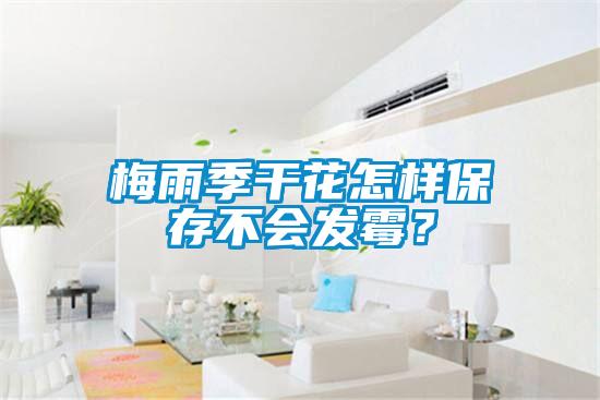 梅雨季干花怎樣保存不會發(fā)霉？