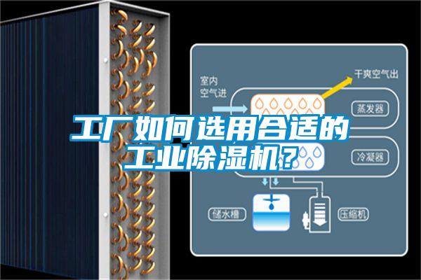 工廠(chǎng)如何選用合適的工業(yè)除濕機(jī)？