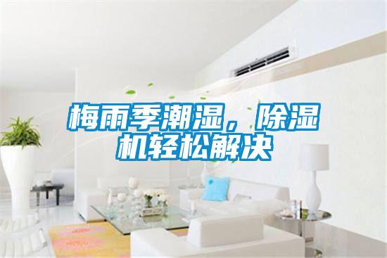 梅雨季潮濕，除濕機輕松解決