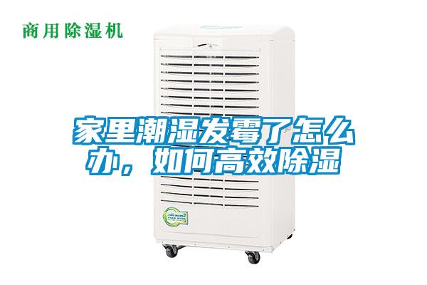 家里潮濕發霉了怎么辦，如何高效除濕