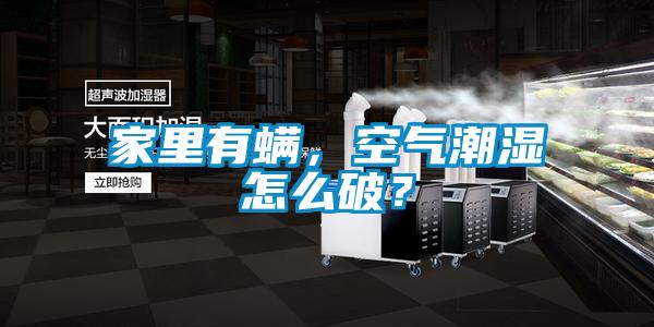 家里有螨，空氣潮濕怎么破？