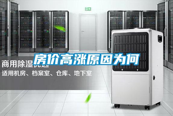 房價(jià)高漲原因?yàn)楹?/></p>
						    <p style=