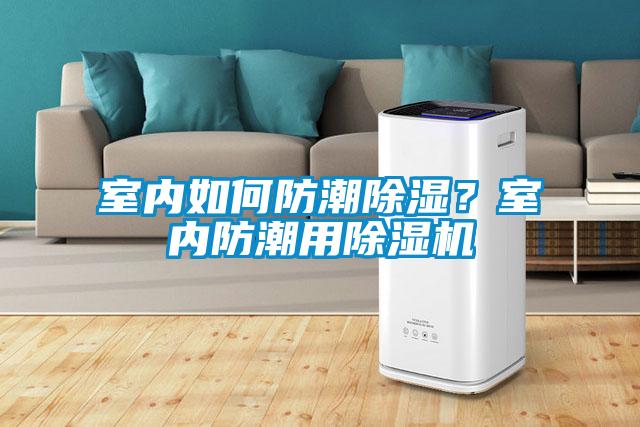 室內如何防潮除濕？室內防潮用除濕機