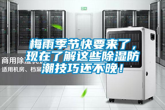 梅雨季節(jié)快要來了，現(xiàn)在了解這些除濕防潮技巧還不晚！