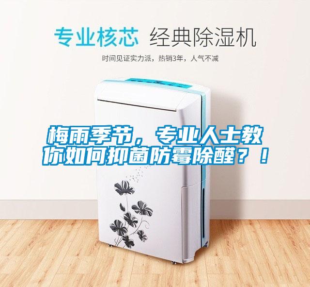 梅雨季節，專業人士教你如何抑菌防霉除醛？！