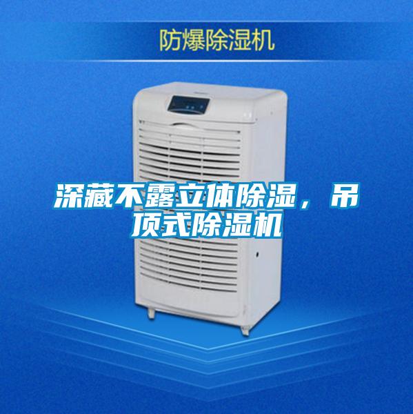 深藏不露立體除濕，吊頂式除濕機