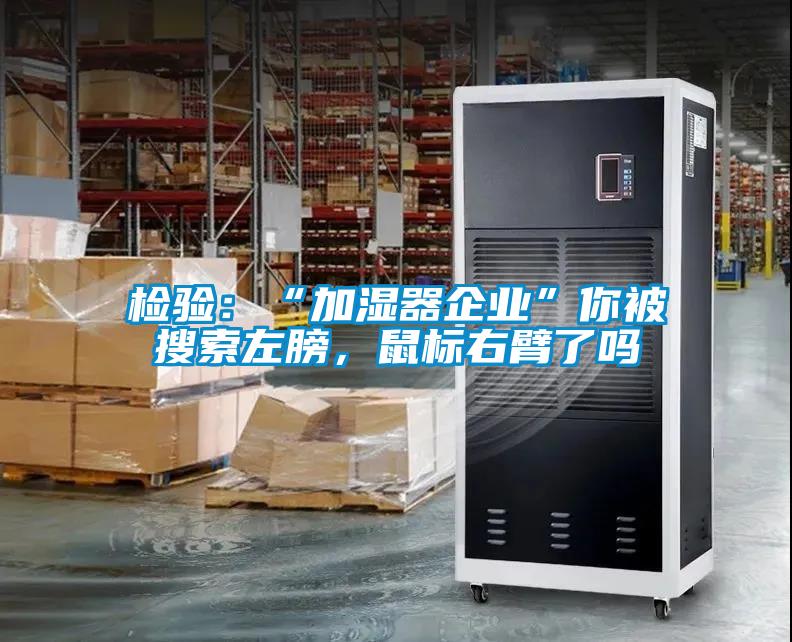 檢驗：“加濕器企業(yè)”你被搜索左膀，鼠標(biāo)右臂了嗎