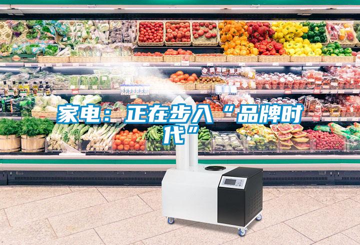 家電:正在步入“品牌時代”