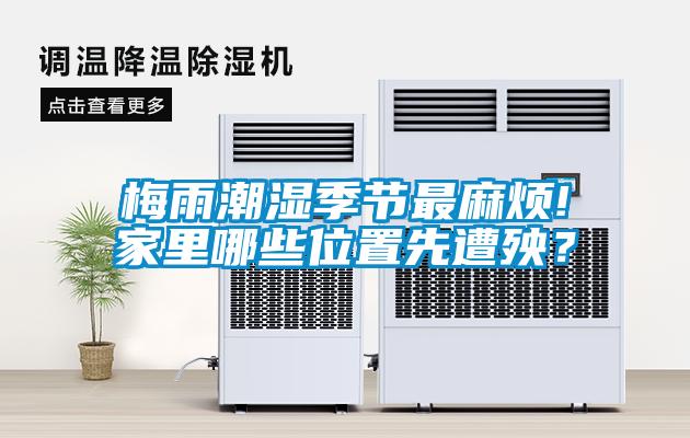 梅雨潮濕季節最麻煩!家里哪些位置先遭殃？