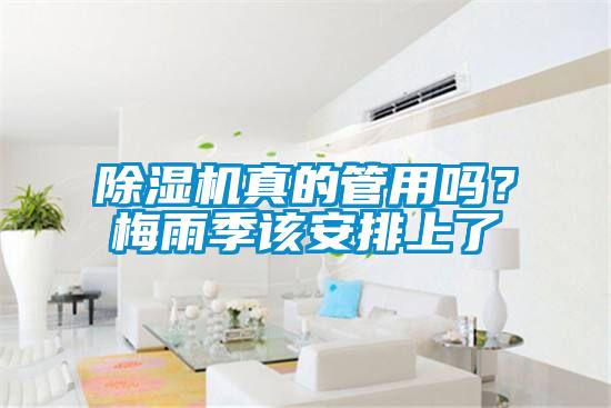 除濕機(jī)真的管用嗎?梅雨季該安排上了