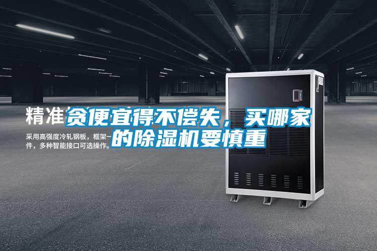 貪便宜得不償失，買(mǎi)哪家的除濕機(jī)要慎重