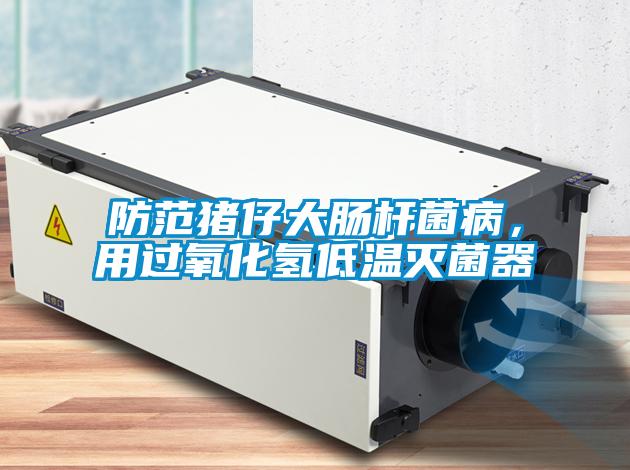 防范豬仔大腸桿菌病，用過氧化氫低溫滅菌器