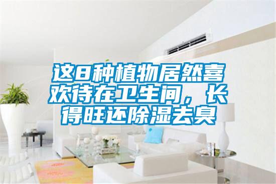 這8種植物居然喜歡待在衛生間，長得旺還除濕去臭