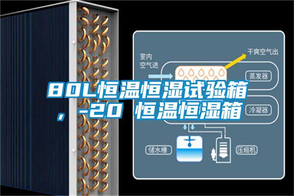 80L恒溫恒濕試驗箱，-20℃恒溫恒濕箱