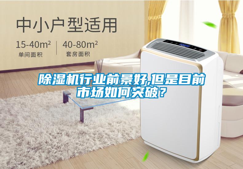 除濕機(jī)行業(yè)前景好,但是目前市場(chǎng)如何突破？
