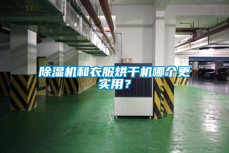 除濕機和衣服烘干機哪個更實用？