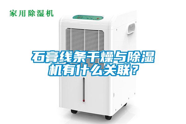 石膏線條干燥與除濕機有什么關聯？