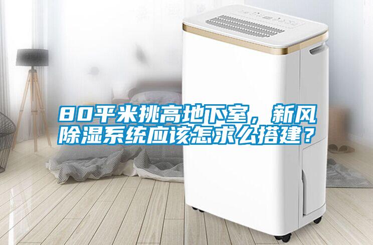 80平米挑高地下室，新風除濕系統(tǒng)應該怎求么搭建？