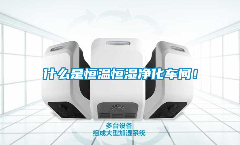 什么是恒溫恒濕凈化車間！