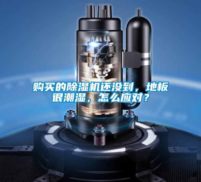 購買的除濕機還沒到，地板很潮濕，怎么應對？