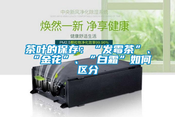 茶葉的保存：“發(fā)霉茶”、“金花”、“白霜”如何區(qū)分