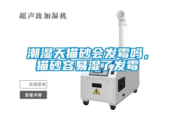 潮濕天貓砂會發(fā)霉嗎，貓砂容易濕了發(fā)霉