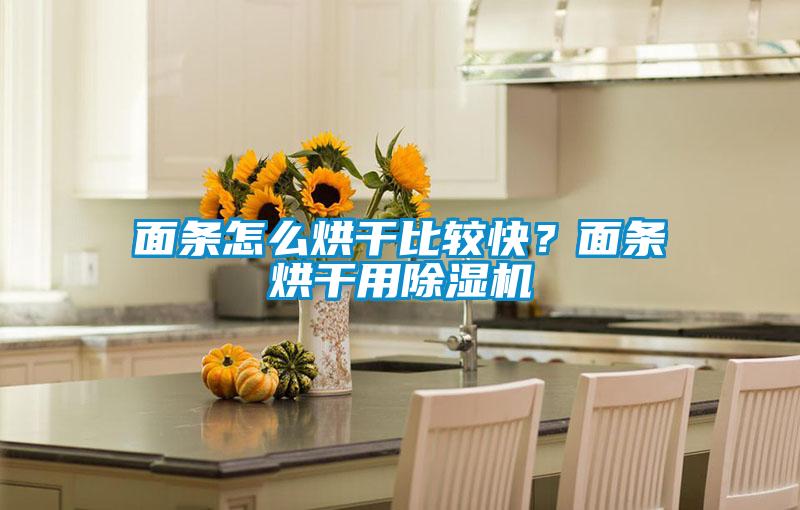 面條怎么烘干比較快？面條烘干用除濕機