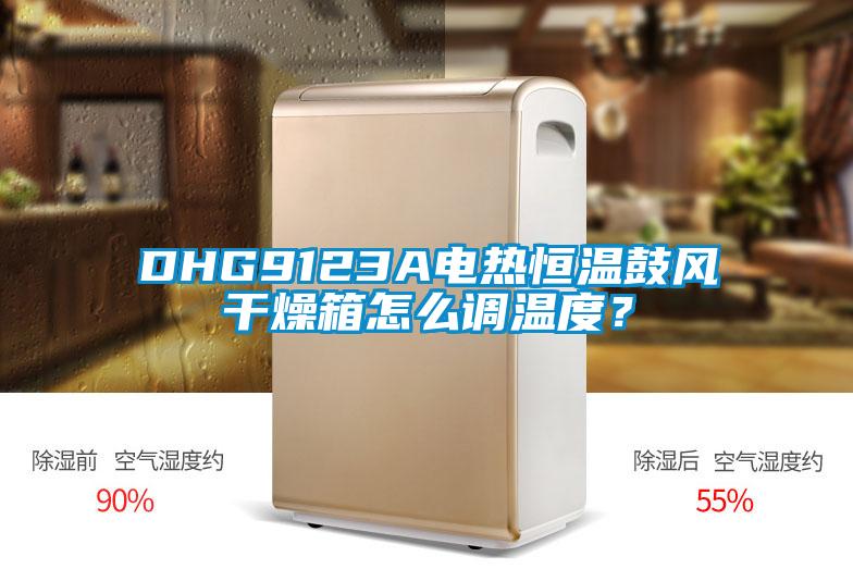 DHG9123A電熱恒溫鼓風干燥箱怎么調溫度？