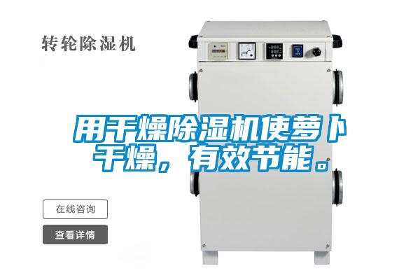 用干燥除濕機使蘿卜干燥，有效節能。