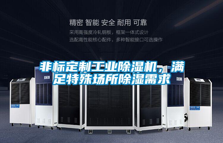 非標定制工業除濕機，滿足特殊場所除濕需求