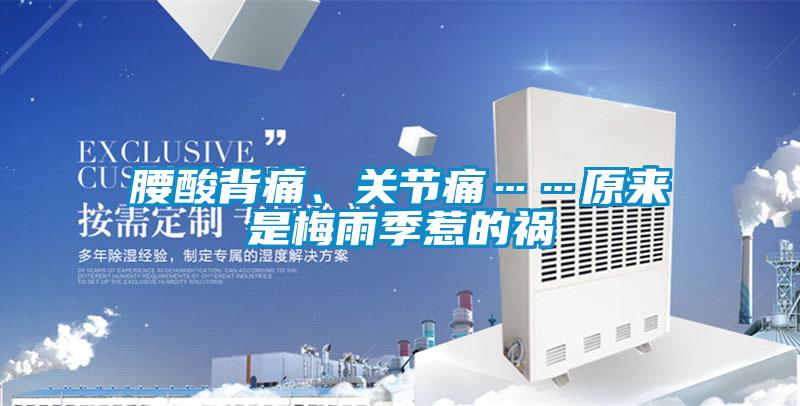 腰酸背痛、關節痛……原來是梅雨季惹的禍