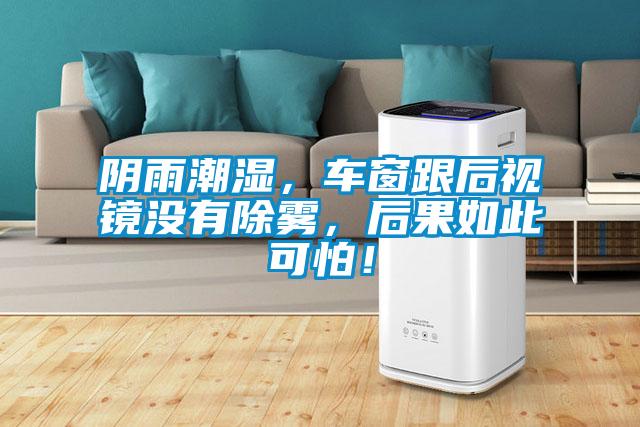 陰雨潮濕，車窗跟后視鏡沒有除霧，后果如此可怕！