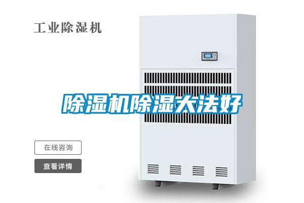 除濕機(jī)除濕大法好