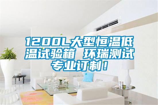1200L大型恒溫低溫試驗箱 環瑞測試專業訂制！
