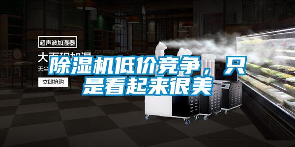 除濕機(jī)低價(jià)競爭，只是看起來很美