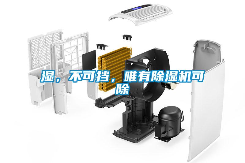 濕，不可擋，唯有除濕機可除