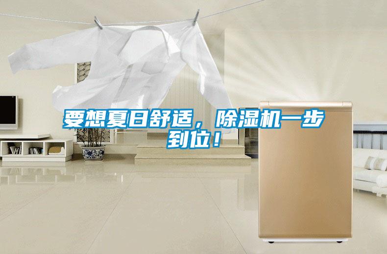 要想夏日舒適,除濕機一步到位!