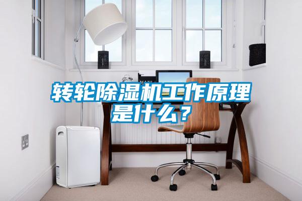 轉(zhuǎn)輪除濕機(jī)工作原理是什么？