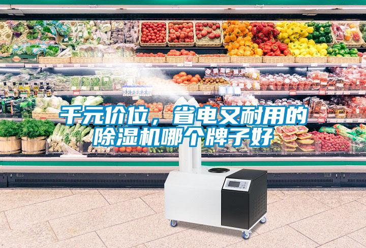千元價位，省電又耐用的除濕機(jī)哪個牌子好