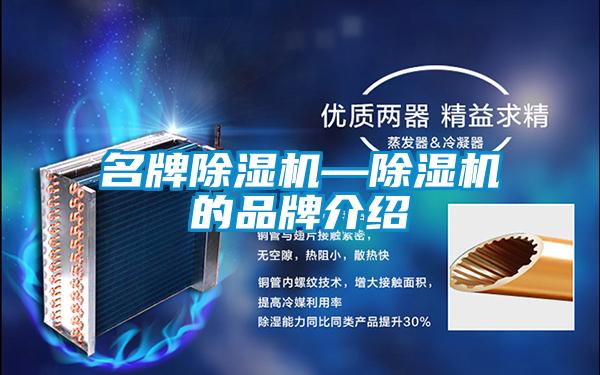 名牌除濕機(jī)—除濕機(jī)的品牌介紹