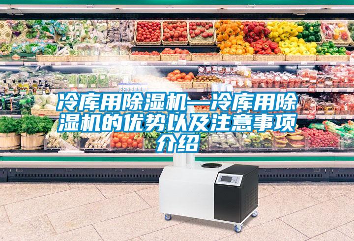 冷庫(kù)用除濕機(jī)—冷庫(kù)用除濕機(jī)的優(yōu)勢(shì)以及注意事項(xiàng)介紹
