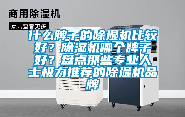 什么牌子的除濕機比較好？除濕機哪個牌子好？盤點那些專業(yè)人士極力推薦的除濕機品牌