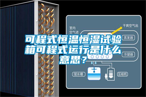 可程式恒溫恒濕試驗箱可程式運行是什么意思?