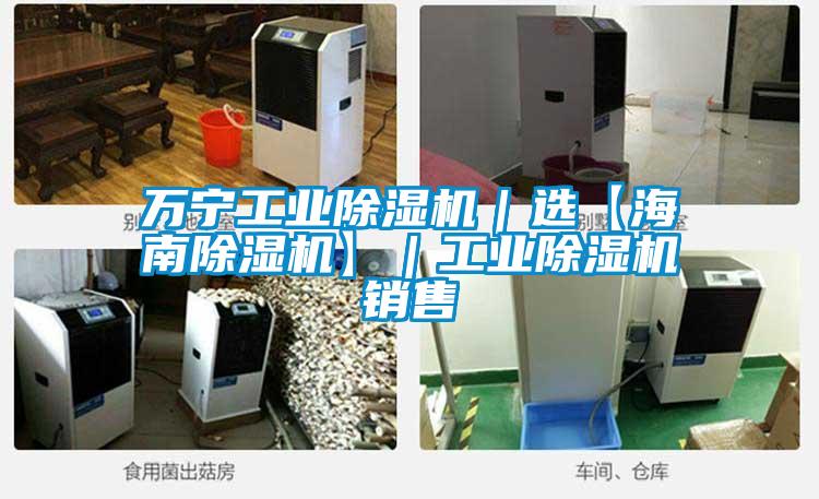 萬(wàn)寧工業(yè)除濕機(jī)｜選【海南除濕機(jī)】｜工業(yè)除濕機(jī)銷(xiāo)售