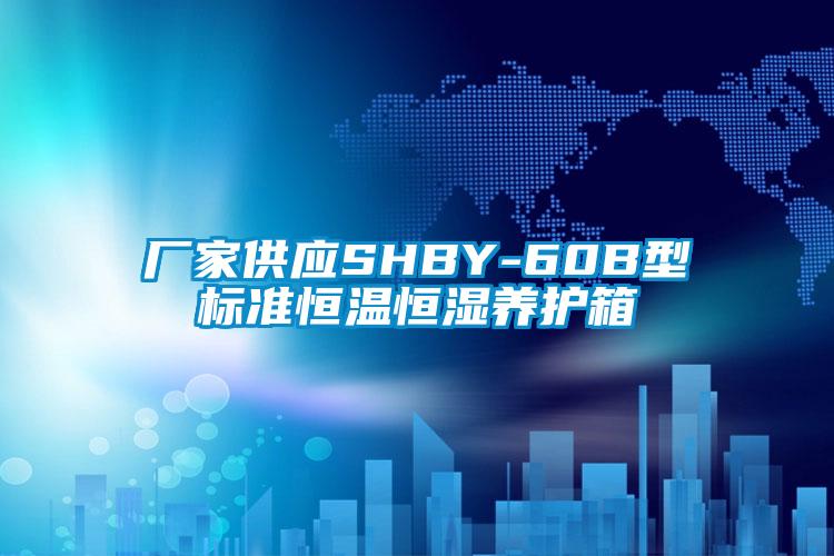廠家供應SHBY-60B型標準恒溫恒濕養(yǎng)護箱