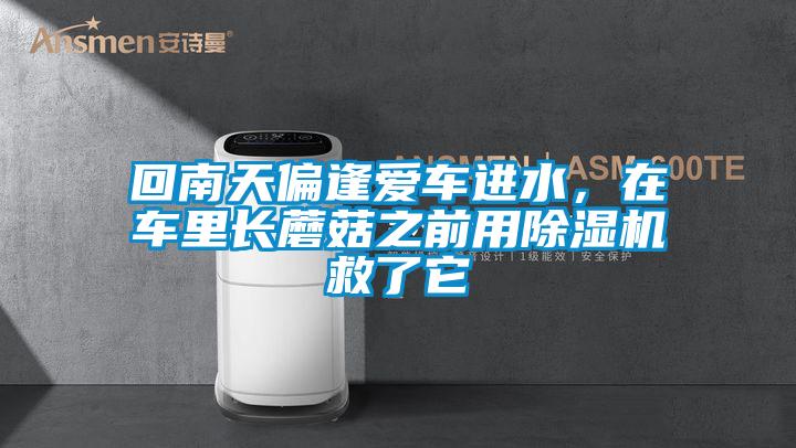 回南天偏逢愛車進水，在車里長蘑菇之前用除濕機救了它