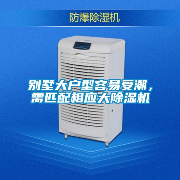 別墅大戶型容易受潮,需匹配相應大除濕機