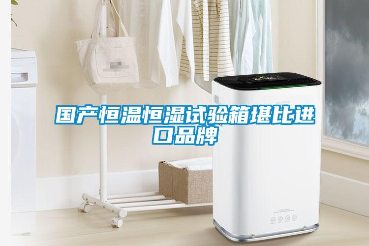 國產(chǎn)恒溫恒濕試驗(yàn)箱堪比進(jìn)口品牌