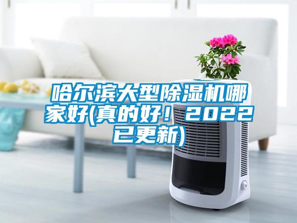 哈爾濱大型除濕機哪家好(真的好！2022已更新)