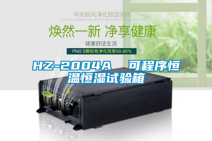 HZ-2004A 可程序恒溫恒濕試驗箱
